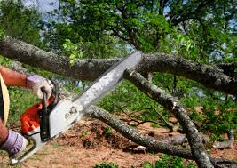 Lawn Watering Services in Hudson Bend, TX
